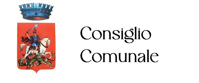 consiglio comunale