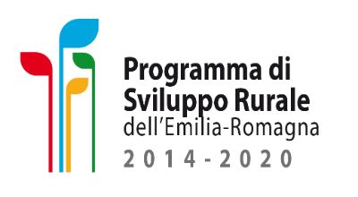 Logo clik sito (1)